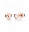 Twenty Plus Earrings Rose Gold Colored