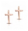 Plated Stainless Steel Earrings RE026