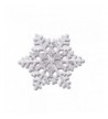 CHUYUN Crystal Snowflake Winter Brooch