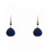 Rosemarie Collections Precious Teardrop Earrings