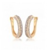 Windshow Plated Leverback Channel Earrings