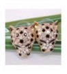 Women's Stud Earrings