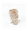 Discount Jewelry