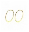 Polished Flattened Earrings Omega Backs