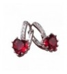 Anzona Earring January Birthstone Leverback