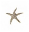 Alilang Crystal Colored Rhinestones Nautical