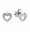 Stainless Steel Shaped Silver Earrings