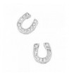 Liavys Horseshoe Fashionable Earrings Sparkling