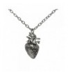 Anatomical Necklace Anatomic Pendant Nickel