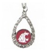 Washington Cougars Crimson Teardrop Necklace