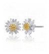DDLBiz 1Pair Flower Earrings Jewelry