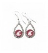 Washington Cougars Crimson Teardrop Earrings