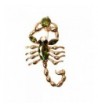 Navachi Zirconia Scorpion Az7065b Brooches