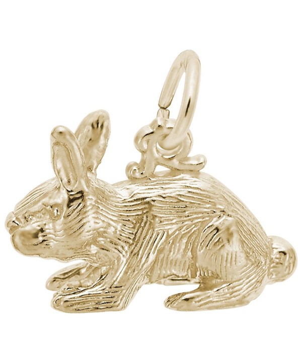 Plated Rabbit Charms Bracelets Necklaces Plated Rabbit Charms Bracelets Necklaces