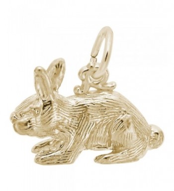 Plated Rabbit Charms Bracelets Necklaces