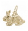 Plated Rabbit Charms Bracelets Necklaces