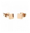 D B MOOD Square Earrings Stainless Earring