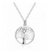 Pendant Necklace Sterling Silver Jewelry