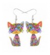 Acrylic Earrings Design Lovely Multicolor