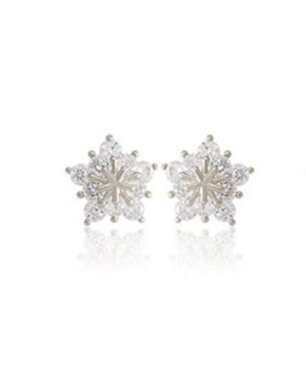 Ladies Crystal Earrings Earring Silver