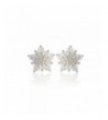 Ladies Crystal Earrings Earring Silver
