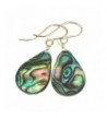 Sterling Abalone Earrings Teardrop Peacock