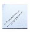 Evermarker Titanium Earrings Crystal Sterling