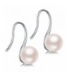 Earrings Fashion Sterling Hypoallergenic Imitation