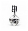 Pro Jewelry Sterling Dangling Aquarius