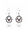 Awareness Butterfly Earrings Crystal Rhinestones