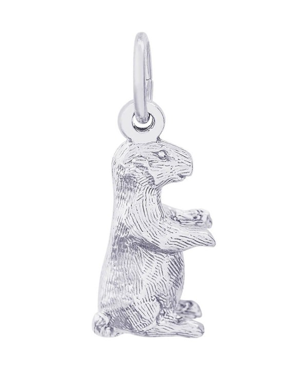 Rembrandt Charms Groundhog Sterling Silver