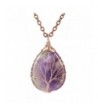 MOWOM Pendant Necklace Simulated Amethyst