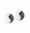 Siver tone Waves Black Enamel Earrings