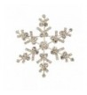 Silver Sparkle Snowflake Pin Style