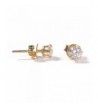 Sparkles Stainless Zirconia Stud Earring