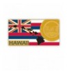 PinMarts State Shape Hawaii Lapel