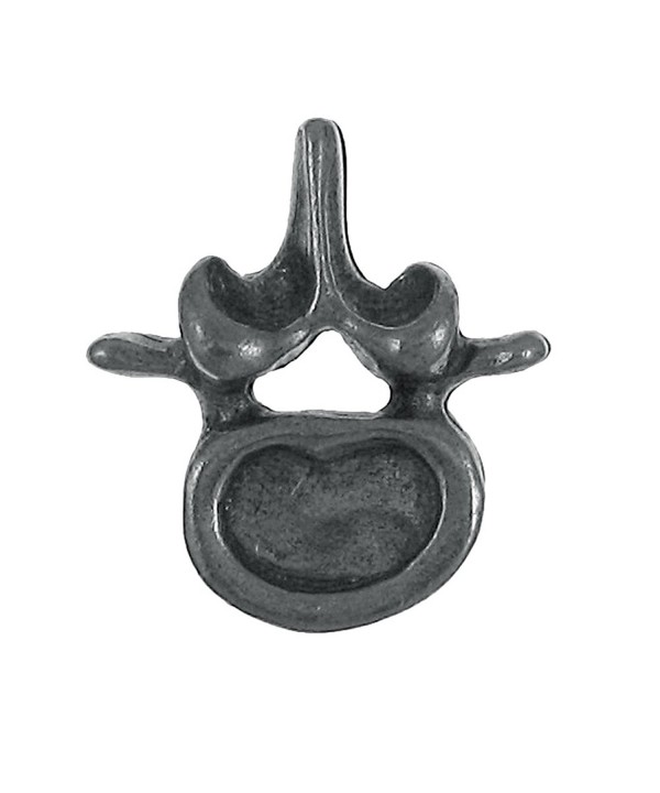 Vertebra Lapel Pin 1 Count