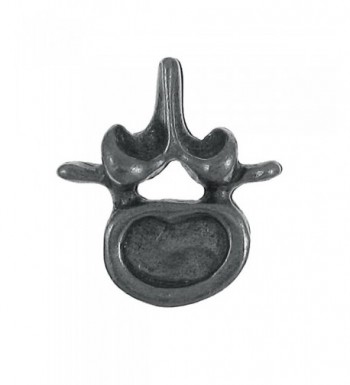 Vertebra Lapel Pin 1 Count