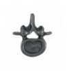 Vertebra Lapel Pin 1 Count