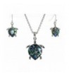 Silver Abalone Pendent Necklace Earrings
