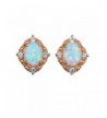 Created white Opal Earrings Women