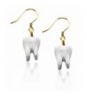 Whimsical Gifts Dental Charm Earrings
