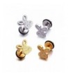 Stainless Earring Earrings Piercing Jewelry