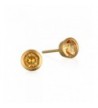 Satya Jewelry Citrine Plate Earrings