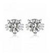 CISHOP Sterling Silver Zirconia Earrings