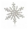 Akianna Silver tone Swarovski Crystals Snowflake