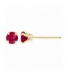 Round Yellow Womens Birthstone Earrings