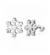 Stainless Steel Snowflake Flower Earrings