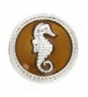 Brown Seahorse Enamel Nugz interchangeable