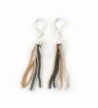 Stylish Tassel Earrings Leverback Closure